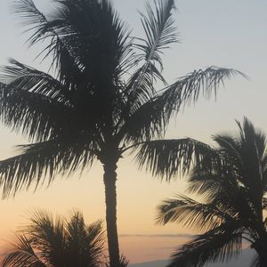 Meet your Posher, Wayne